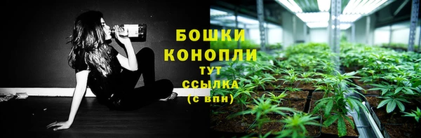 спиды Горняк
