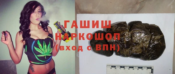 спиды Горняк