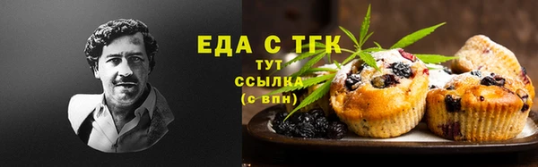 гидра Горно-Алтайск