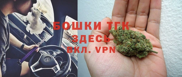 спиды Горняк