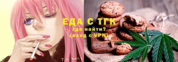 спиды Горняк