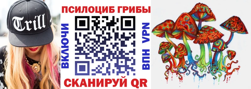 Псилоцибиновые грибы GOLDEN TEACHER  Купить закладки  Касимов 